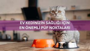 Ev Kedinizin Sağlığı İçin En Önemli Püf Noktaları