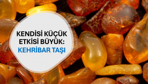 Kehribar Taşı: Doğanın Şifalı Mirası