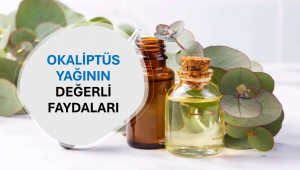 Okaliptüs Yağının Değerli Faydaları